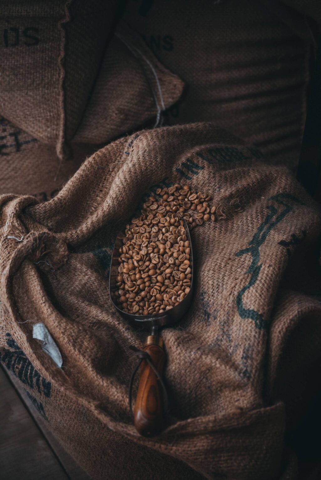 ardalan hamedani Vy DQuM 298 unsplash 1