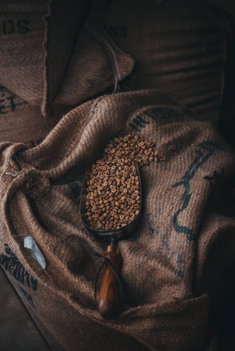 ardalan hamedani Vy DQuM 298 unsplash 1