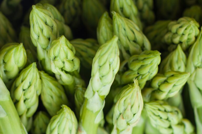 asparagus close up delicious food 42165