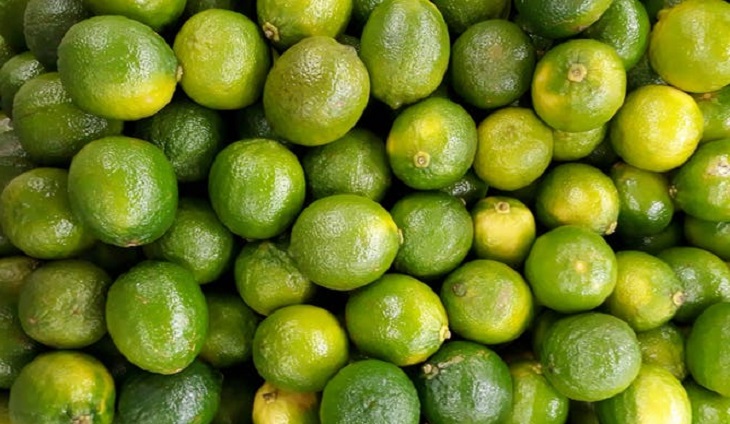 Limes