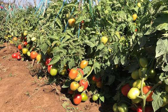 PHOTO 2018 10 22 15 38 16