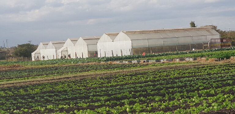 csm Koppert invests in Latia 38da7f50a9