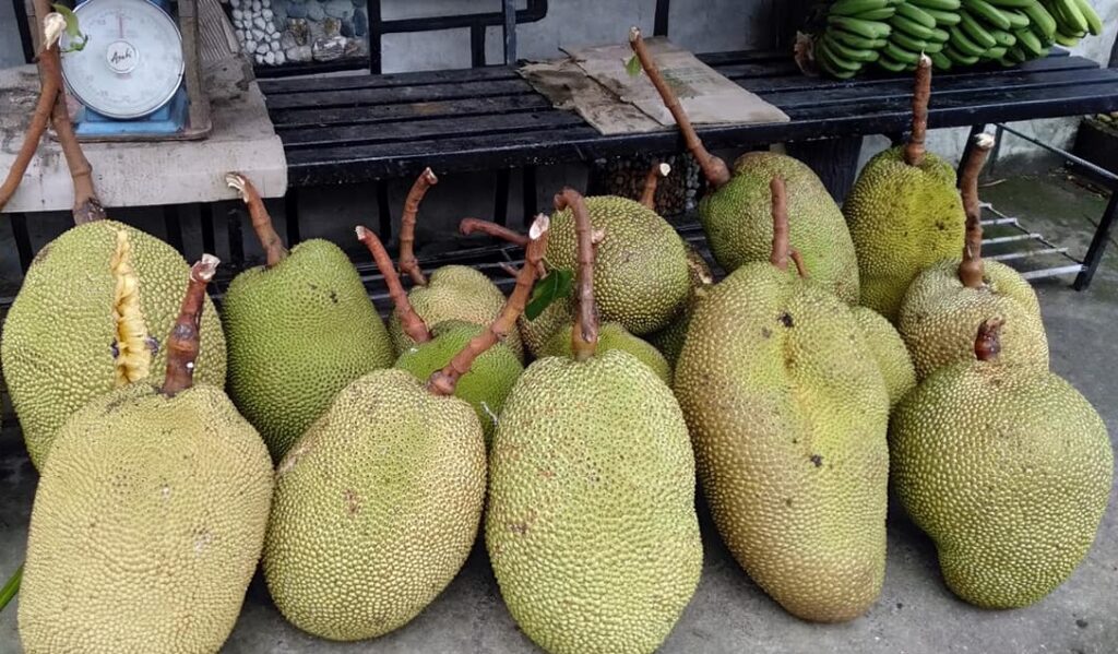 jackfruit FB