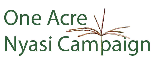 Logo1606714273