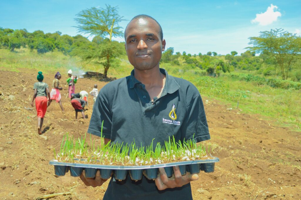 agronomist services