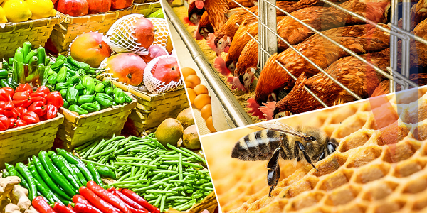 Investing in Agribusiness Primary Production 2019