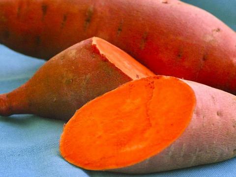 orange fleshed sweet potato