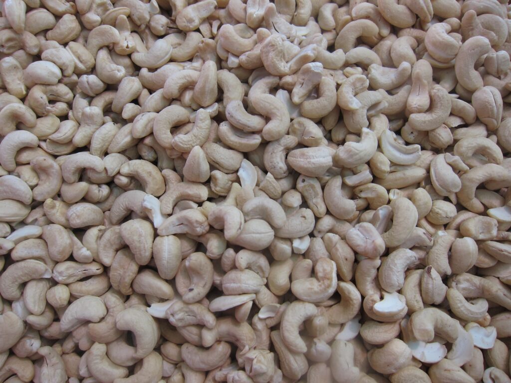 Cashew nut