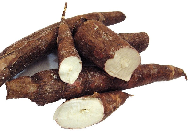 cassava 2