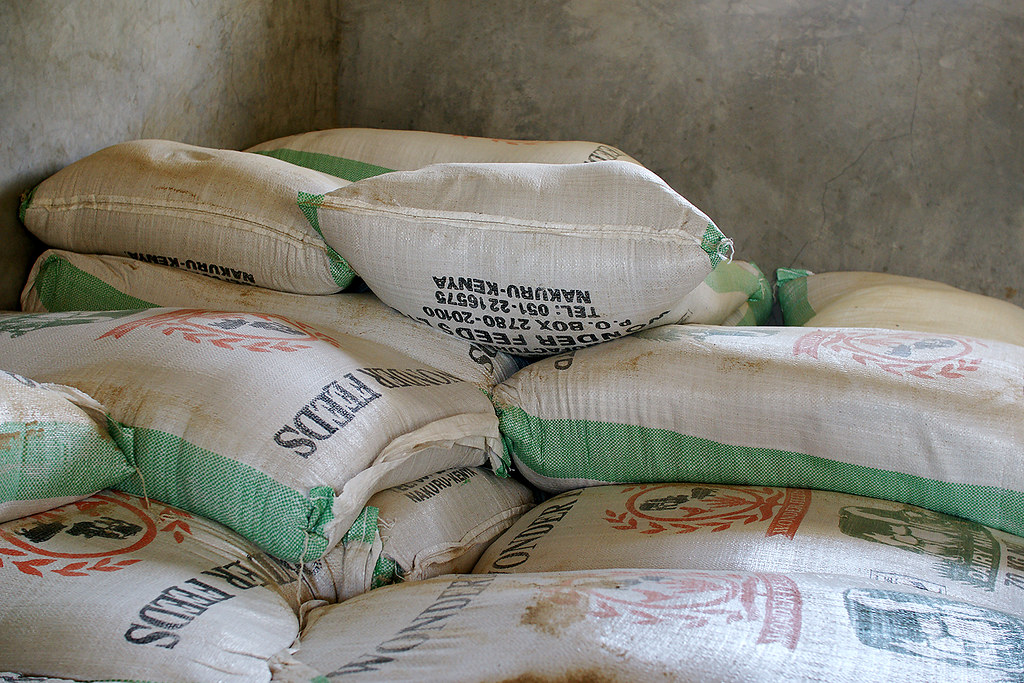 dairy feeds