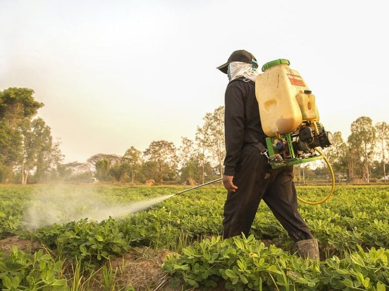 pesticides