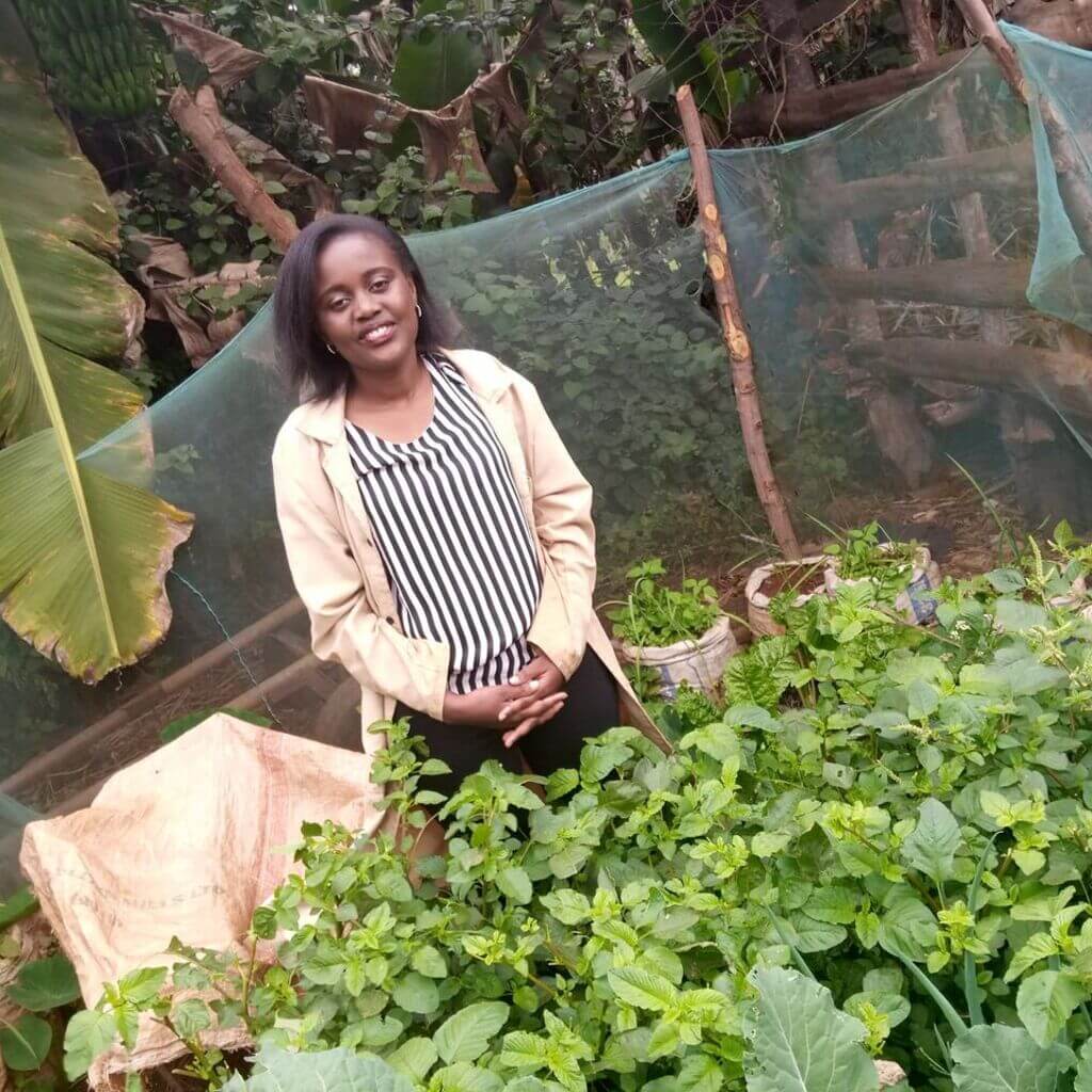 Kitchen garden