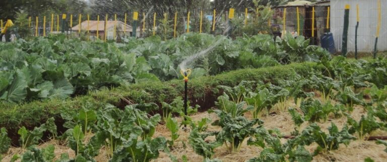 small holder mixed farming model.JPG