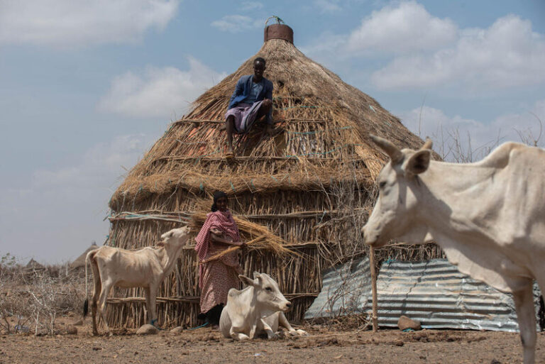 DROUGHT ETHIOPIA