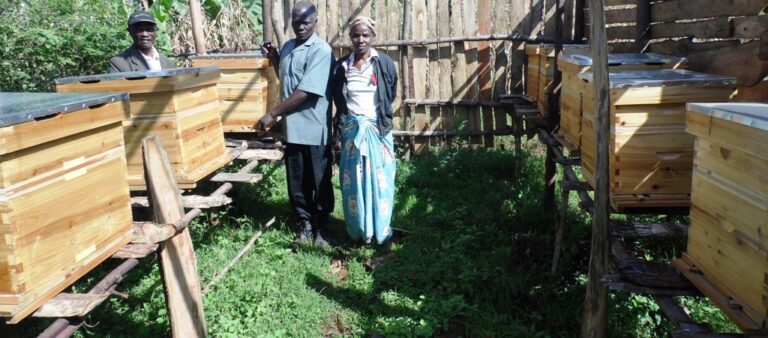BeehivehouseNdege.Nyamira. KemuntoNyamiraCountyLaban