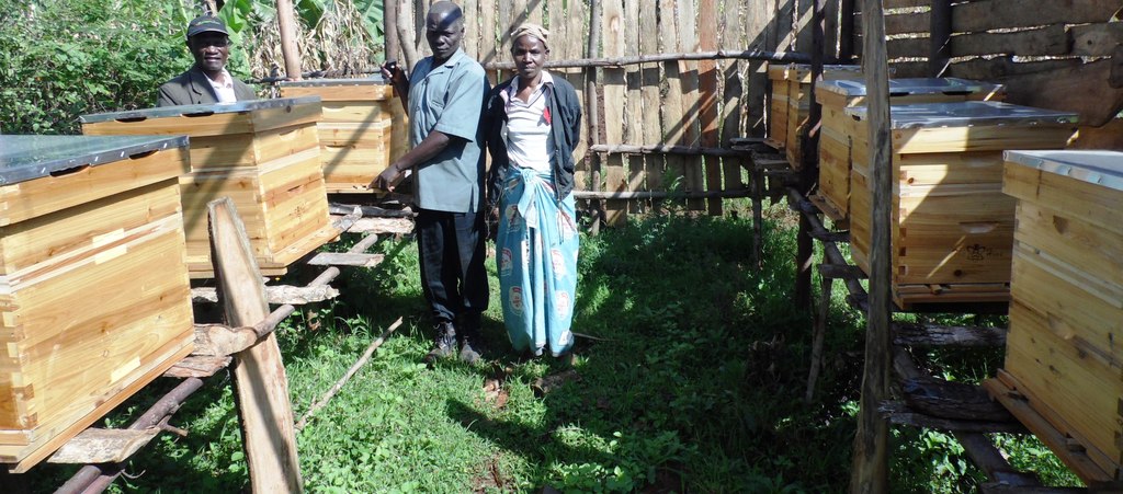 BeehivehouseNdege.Nyamira. KemuntoNyamiraCountyLaban