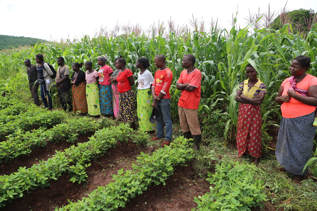 farmer groups