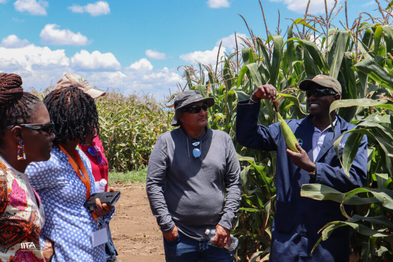 Agriculture extension