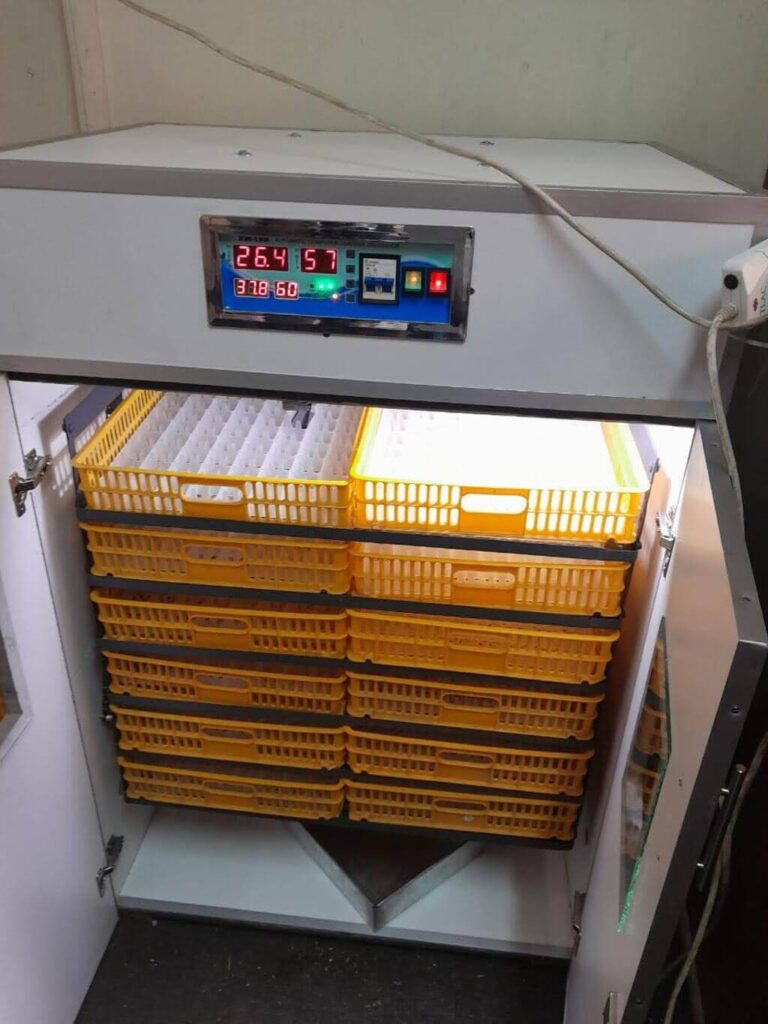 Solar incubator