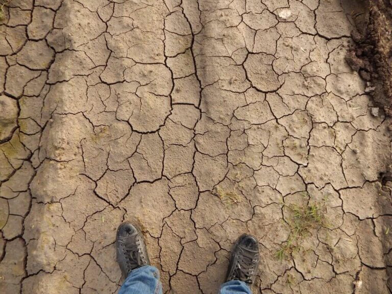 Desertification
