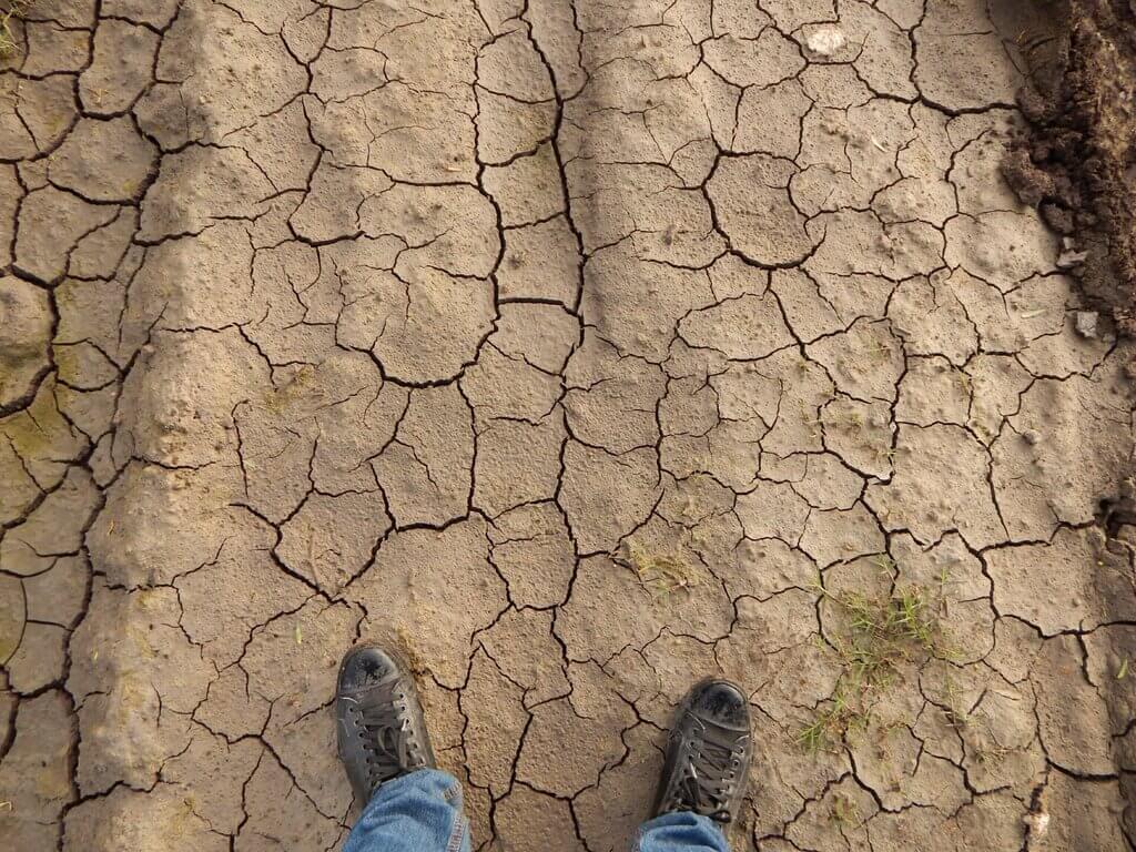 Desertification