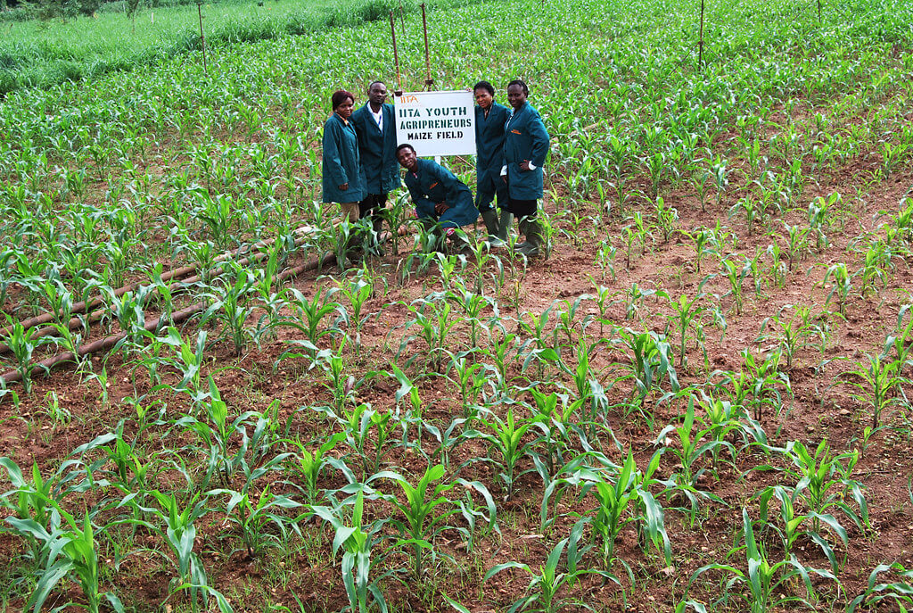 Youth Agripreneurs