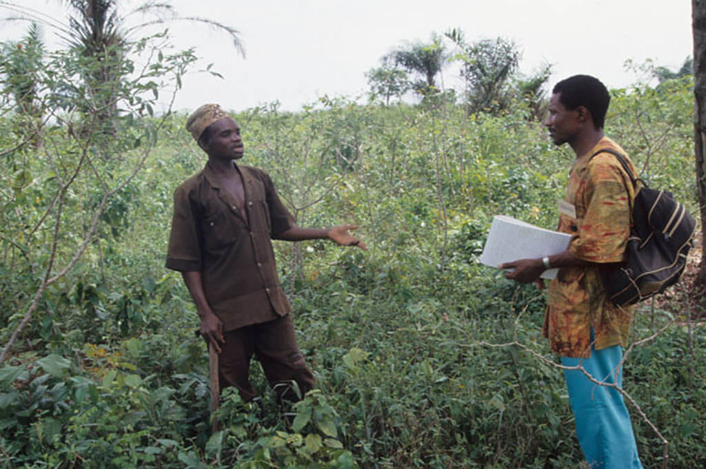 agriculture extension