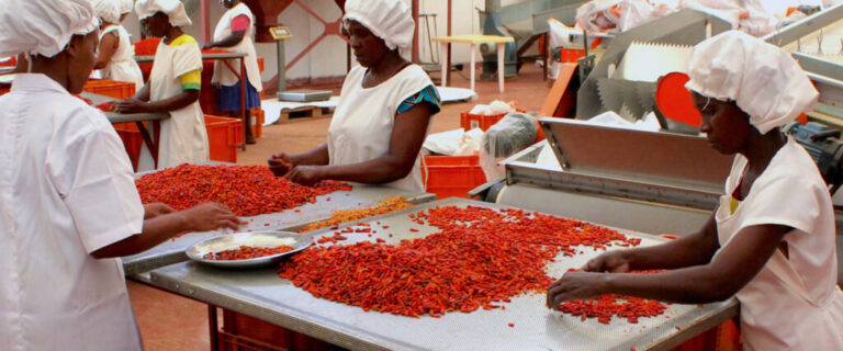 Chilli