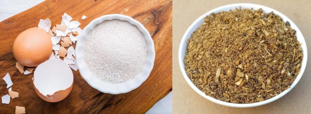 egg shells and Bone meal