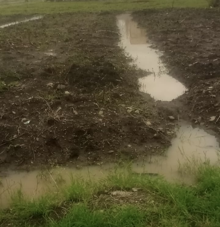 Flooded black cotton plot in Ruiru with drainage trenches